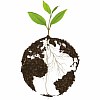 World Soil Day
