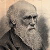 UN Holidays - Darwin Day (International Day of Science and Humanism)