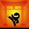 International Ninja Day